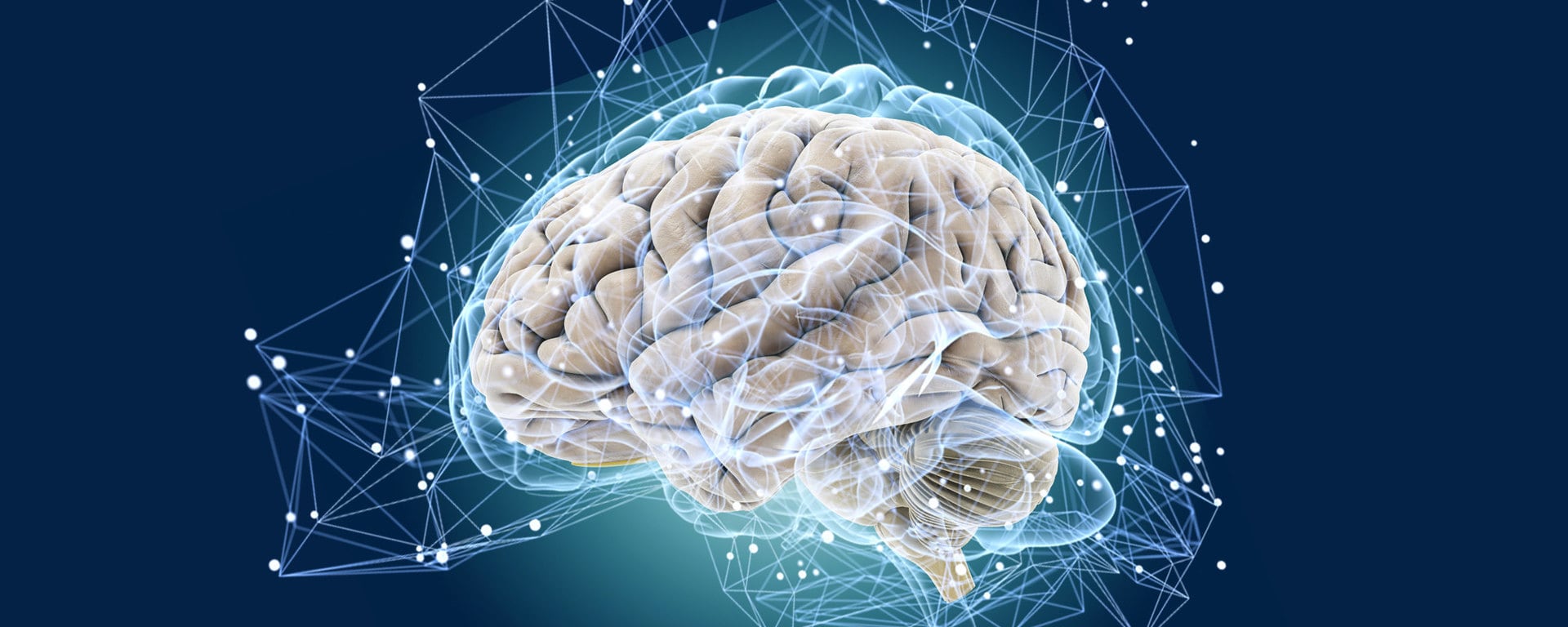 Искусственный мозг — эксперименты по созданию искусственного разума